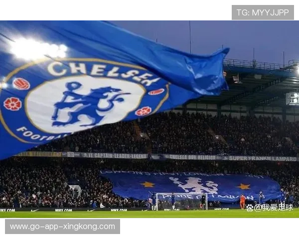 切尔西准备买下南美拦截大师，提升防线实力